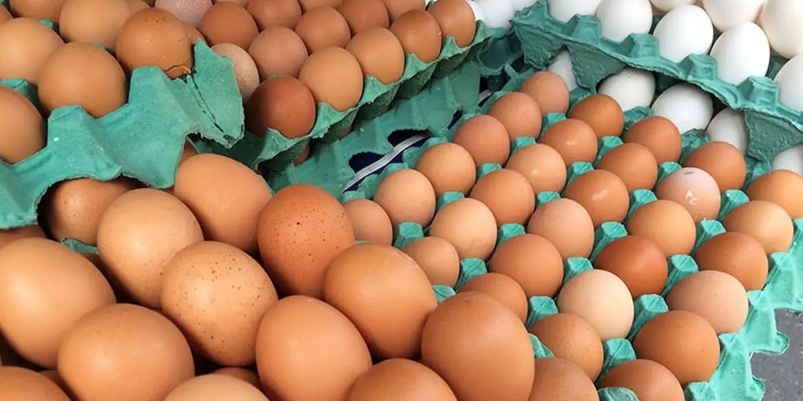 Ovos de granja com caso de gripe aviária estão rastreados (Luiz Agner/IBGE)