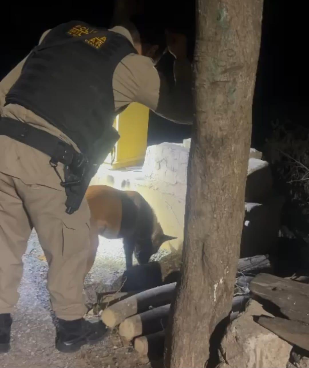 Operação ocorreu na noite de terça-feira (20), mas as informações foram divulgadas pela Polícia Militar nesta quarta (21) (PMMG)