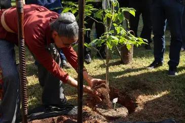 Marina Silva participa de plantação de árvore durante celebração do Dia Internacional da Biodiversidade, no Jardim Botânico (Tomaz Silva/Agência Brasil)