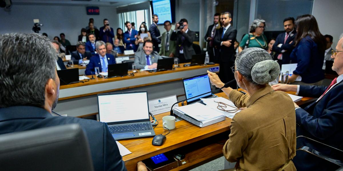 Marina deixou a reunião da CI após fala de Plínio Valério (Geraldo Magela/Agência Senado)