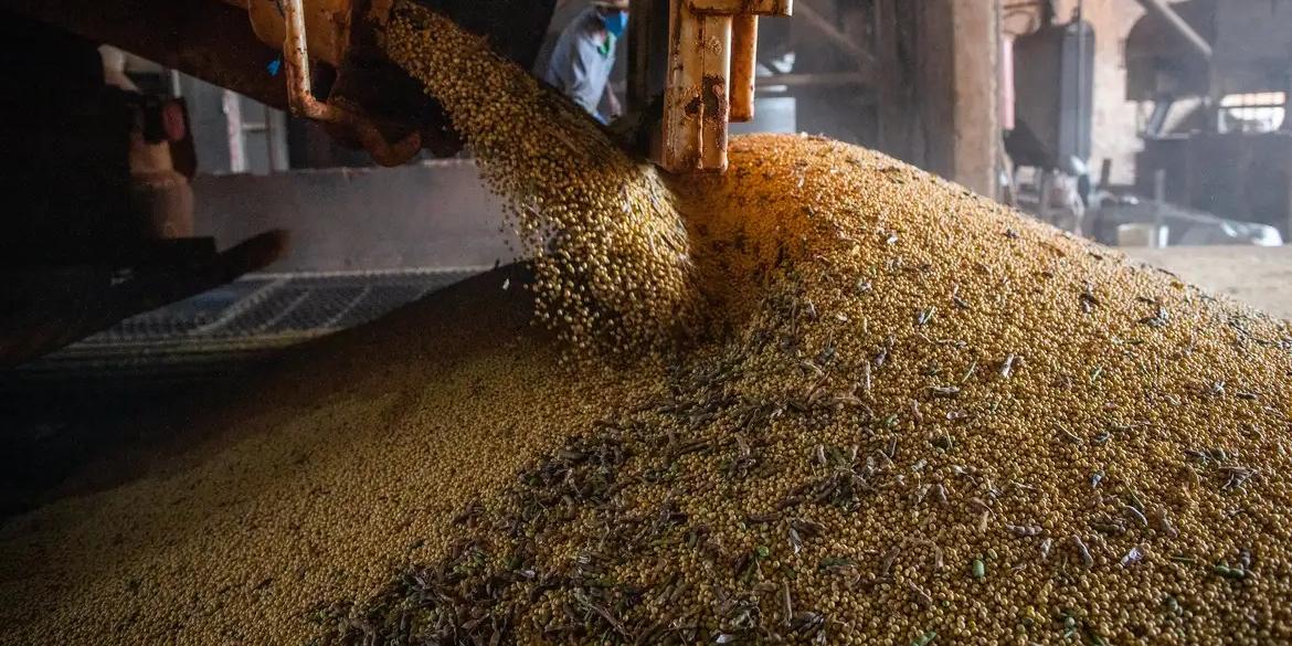 Crescimento do PIB do quarto trimestre de 2024 para o primeiro trimestre deste ano foi puxado principalmente pelo desempenho da agropecuária, que teve crescimento de 12,2% (CNA/Wenderson Araujo/Trilux)