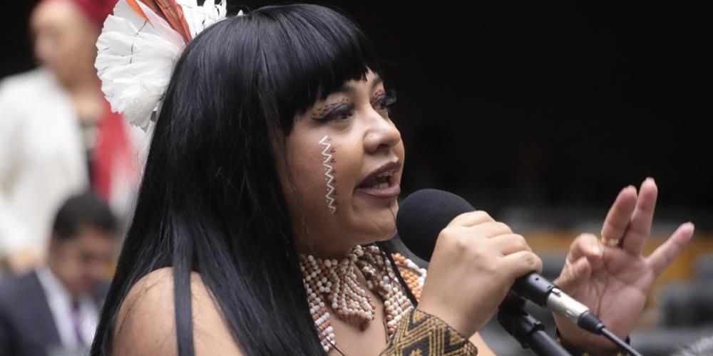 Célia Xakriabá (Bruno Spada/Câmara dos Deputados)