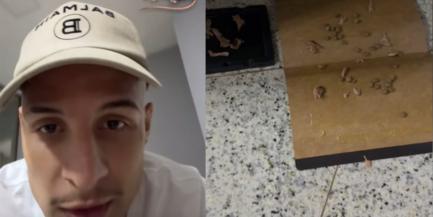 Guilherme Arana arma arapuca para capturar rato (Reprodução/ Instagram Guilherme Arana)
