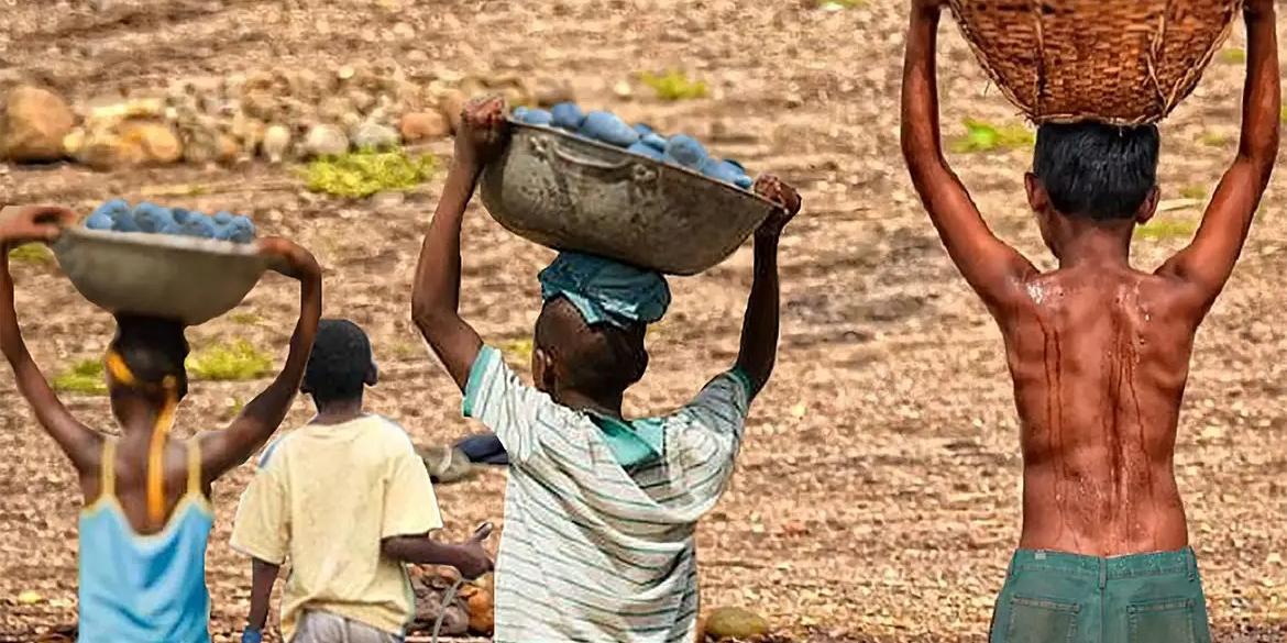 Na faixa etária de até 13 anos, foram identificados 791 crianças e adolescentes em situação de trabalho infantil (TRT)