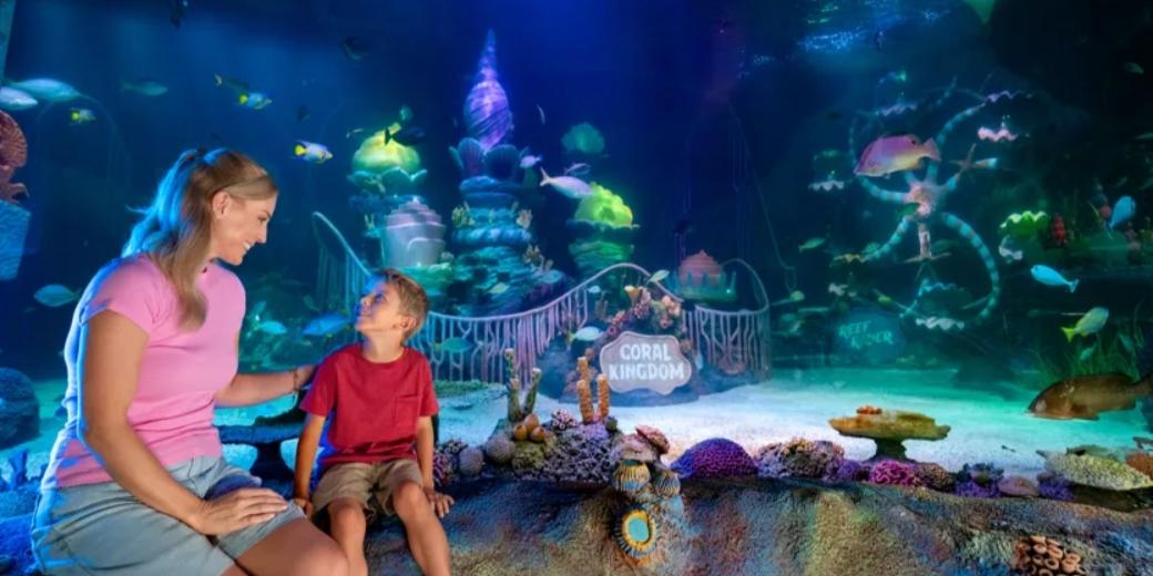 Visitantes podem mergulhar em mais de 25 exposições interativas (Visit Central Florida e Merilin Entertainments Ltd / divulgação)