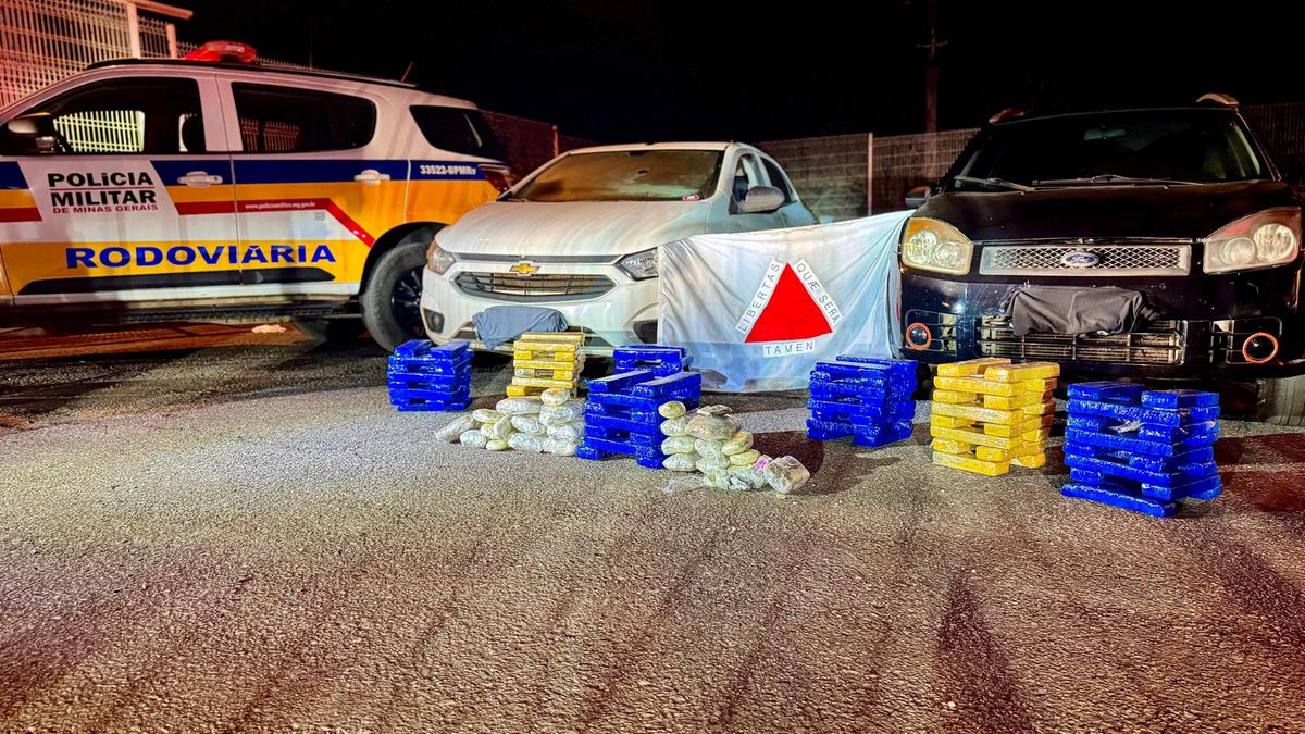 Drogas foram encontradas com auxílio de cães farejadores (Divulgação/ PM)