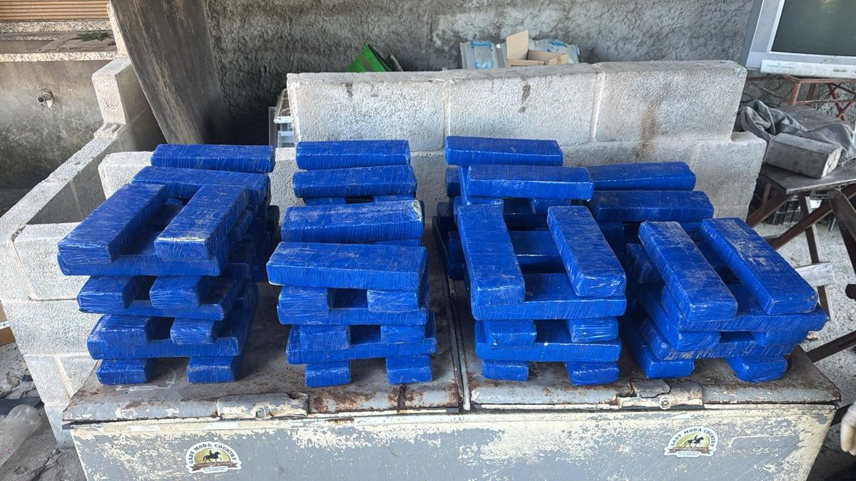 Ao todo, 94 barras de maconha foram apreendidas durante a operação na região Leste de BH (Divulgação/ PM)