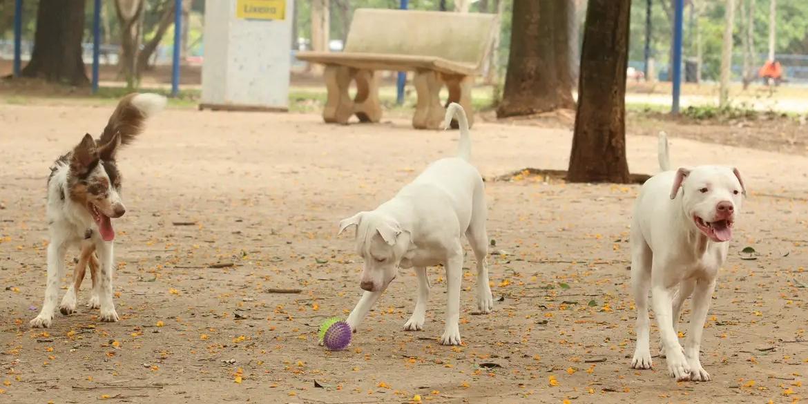 Norma altera a chamada Lei de Crimes Ambientais - Lei nº 9.605 - , de 1998, equiparando a prática a outras condutas abusivas que causem ferimentos ou mutilem animais silvestres, domésticos ou domesticados, sejam eles nativos ou exóticos (Rovena Rosa/Agência Brasil)