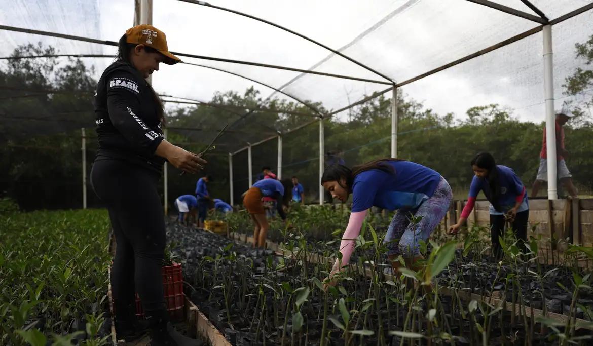 Ecossistemas retiram três vezes mais carbono da atmosfera que floresta (Fernando Frazão/Agência Brasil)