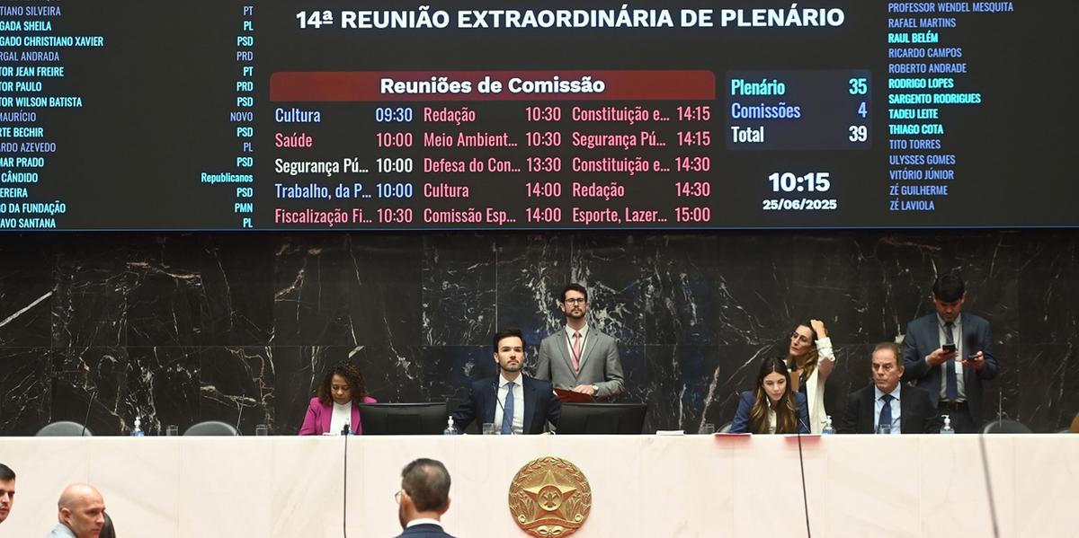 Assembleia aprova federalização da Codemig e da Codemge (Ramon Bitencourt / ALMG)