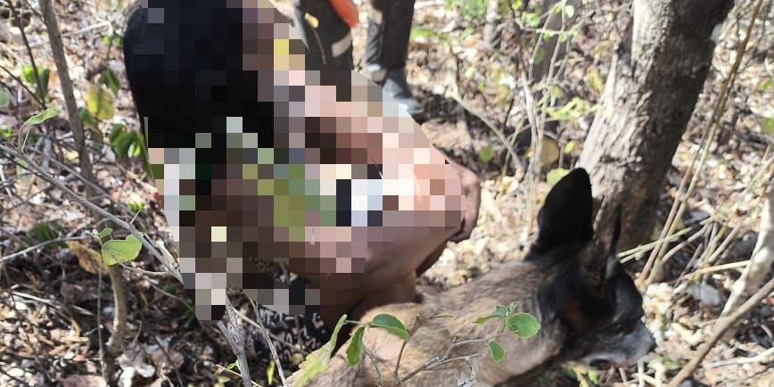 Cadela Katy encontra mulher que estava desaparecida em Montes Claros (Divulgação / Corpo de Bombeiros)