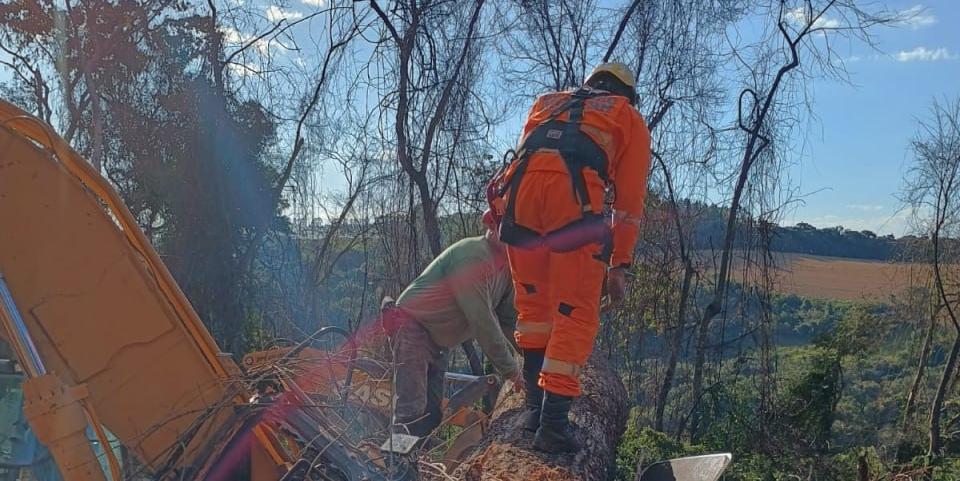 Vítima foi encontrada pelos militares já em óbito, presa sob o tronco. Para acessar a cabine, foi necessário realizar o corte da árvore (CBMMG)