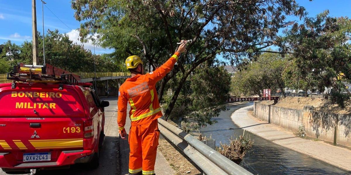 Operação conta com o uso de um drone para agilizar a varredura do terreno (CBMMG)