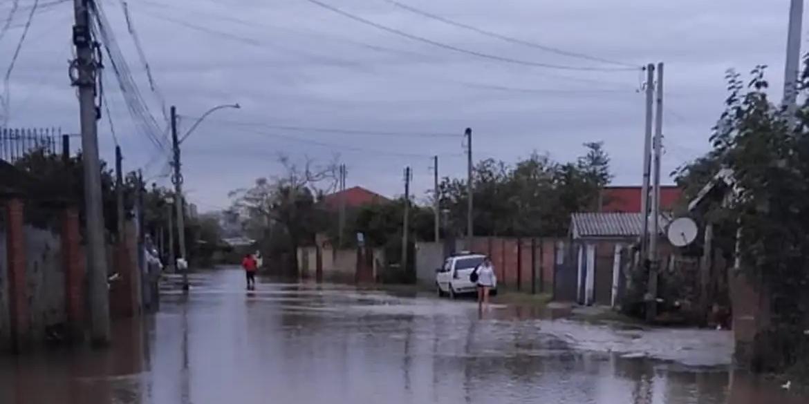 Até o momento, o Rio Grande do Sul tem 358 reconhecimentos vigentes (Beatriz Goncalves Pereira/Divulgação)