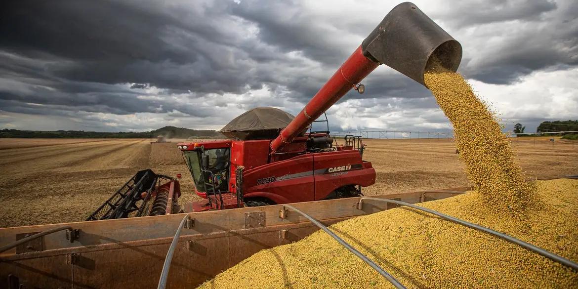 A produção brasileira para a safra é estimada em 339,6 milhões de toneladas, um volume que representa aumento de 14,2% em relação à colheita do ciclo anterior. (Wenderson Araujo/Trilux)