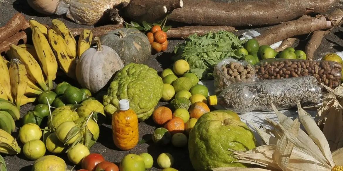 Pequenos produtores da agricultura familiar terão acesso a R$ 13,4 bilhões, com juros entre 0,5% e 8% ao ano (Antonio Cruz/Agência Brasil)