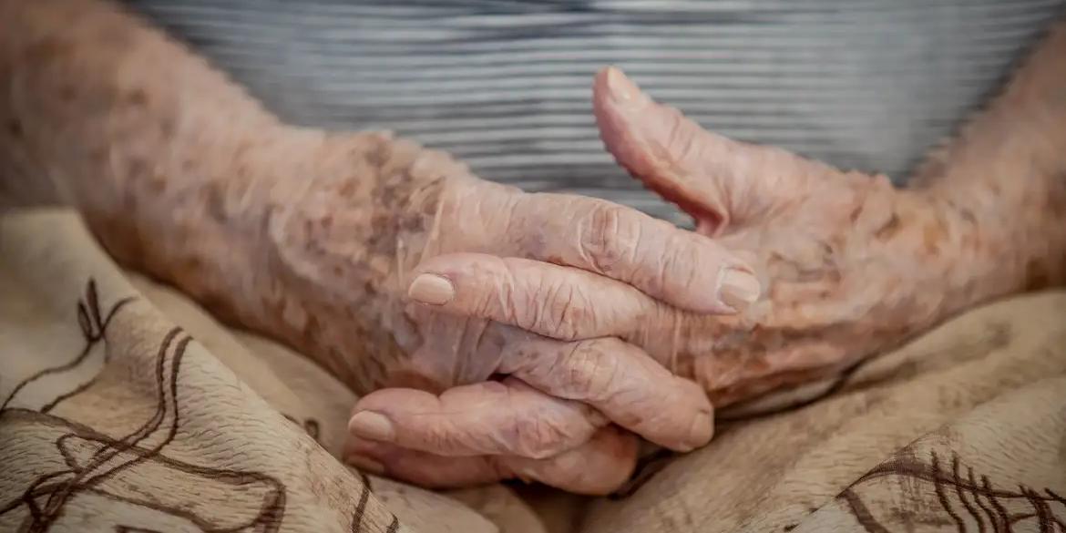 Alguns estavam amarrados, impedidos de se locomover, em estado de fragilidade física e raquíticos, por falta de alimentação balanceada. (Divulgação / Agência Brasil)