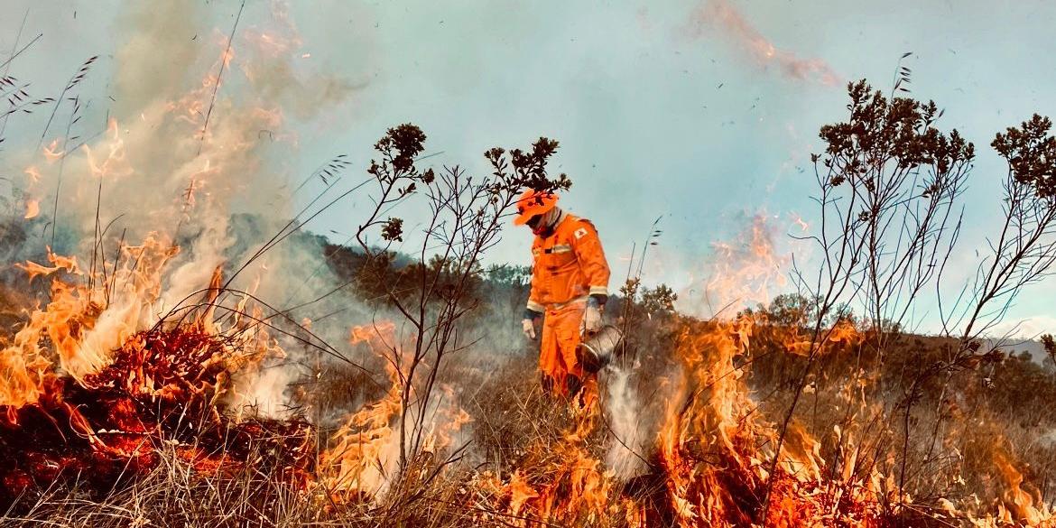 Ao todo, 174 bombeiros militares e 132 brigadistas participam das ações para atuarem nas Unidades de Conservação (UCs) de Minas (CBMMG/ Divulgação)