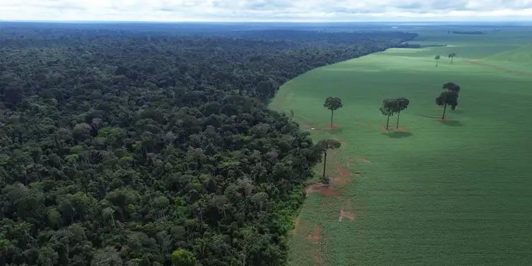 Vista aérea do encontro da Floresta Amazônica com lavouras de milho e soja, na margem da Terra Indígena Erikpatsa (Fernando Frazão/Agência Brasil)