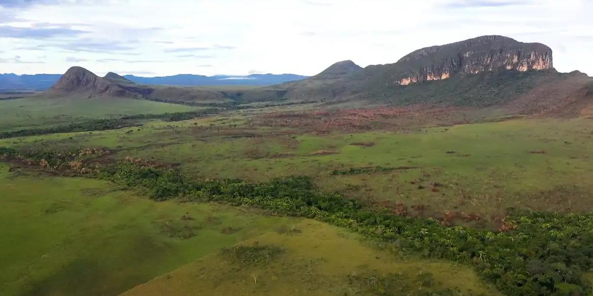 Serão destinados R$ 150 milhões em recursos não reembolsáveis do Fundo Amazônia, para o projeto Manejo Integrado do Fogo. (Divulgação / TV Brasil)