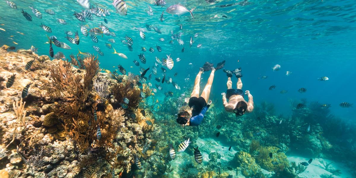 Turista exploram recifes de coral nas águas cristalinas das Bahamas, destino que reúne segurança, biodiversidade e experiências únicas subaquáticas (Bahamas Ministry of Tourism, Investments and Aviation (BMOTIA))
