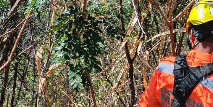 Bombeiros foram chamados para o resgate no Parque Ecológico Renato Azeredo (Bombeiros/Divulgação)