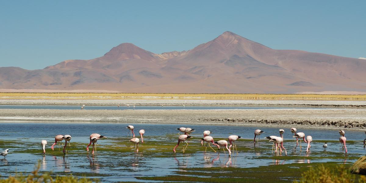 Deserto do Atacama abriga uma rica herança cultural, por ter sido ponto de encontro de diversas tradições andinas ao longo da história (Divulgação)