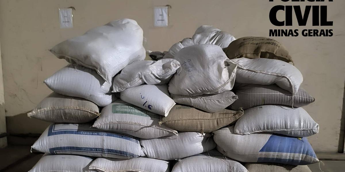 Quatro autores foram presos em flagrante e 4,4 mil quilos de café apreendidos (Divulgação / PCMG)