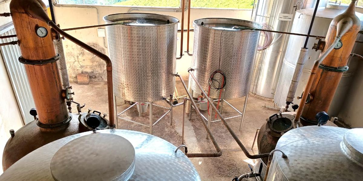 Produtores de Lamim, na Zona da Mata mineira, apostam na regularização e no apoio técnico para fortalecer a produção de cachaça e levar o nome do município a todo o país (Maria Teresa Leal/Seapa)