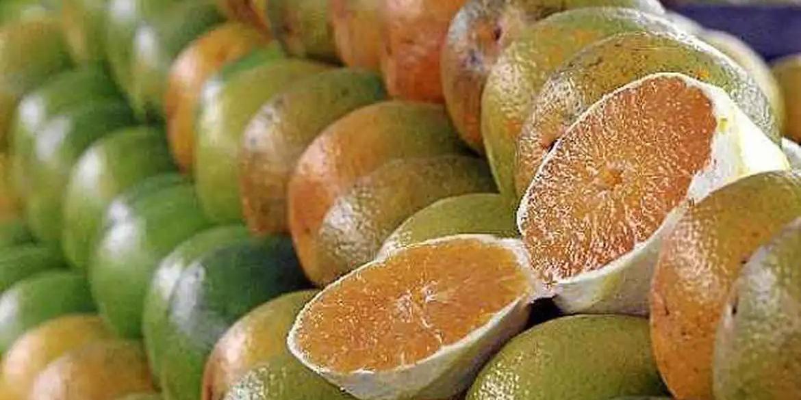 Ao todo, a lista de exceções soma 694 produtos. Petróleo, combustíveis, suco e polpa de laranja, minérios, fertilizantes, motores, peças, componentes e aeronaves civis estão entre os produtos que ficaram de fora da sanção adicional de 50% (Governo Sergipe/Divulgação)