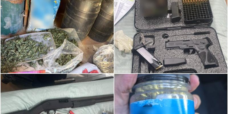Operação THC localizou cerca de 4 mil pés de maconha em uma área de 3 mil metros quadrados, com estrutura de irrigação e iluminação especial, em Cascalho Rico, no Triângulo Mineiro (Divulgação/PCMG)