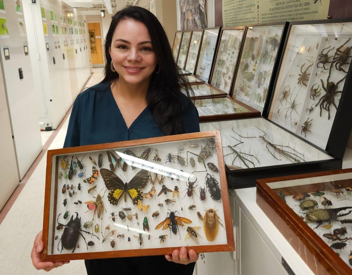 Talitta Simões é egressa do programa de pós-graduação em Entomologia pela Universidade Federal de Viçosa (UFV) (Arquivo pessoal)