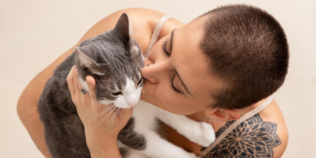 Quando os gatos criam o vínculo com o tutor, costumam seguir a pessoa pela casa, esperar na porta e deitar por perto (Freepik)