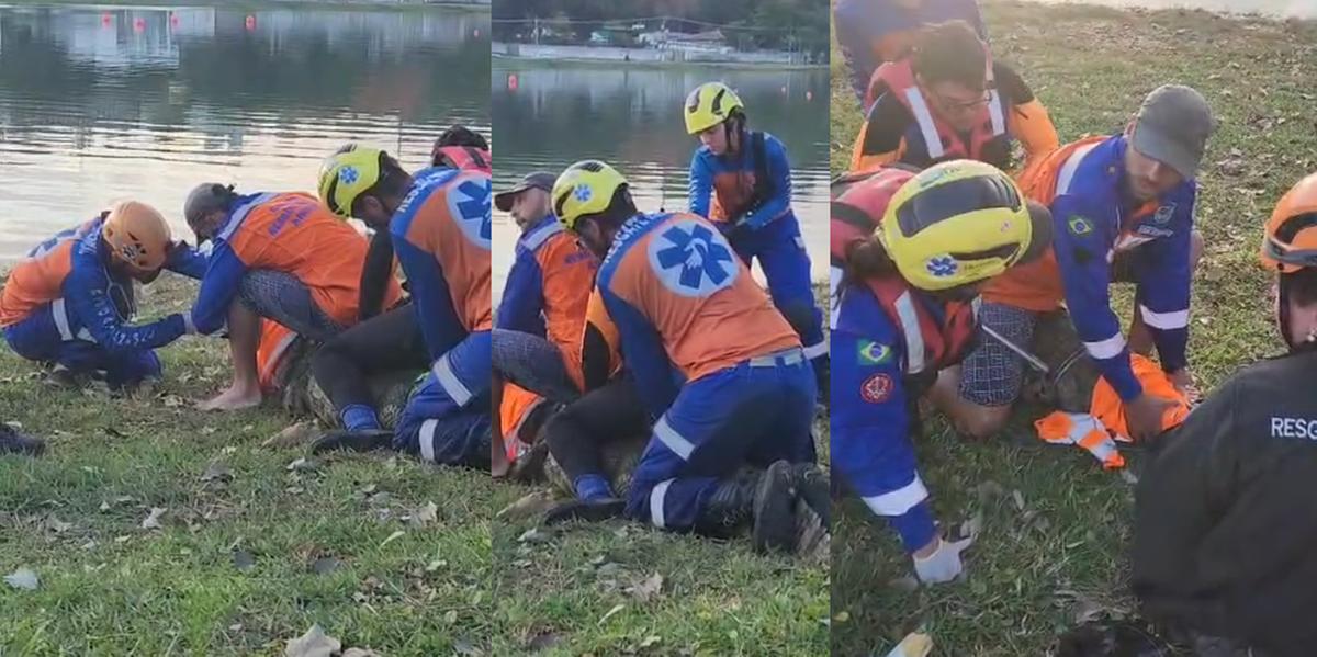 Segundo os bombeiros, o jacaré permaneceu tranquilo durante todo o procedimento (Divulgação / Bombeiros)