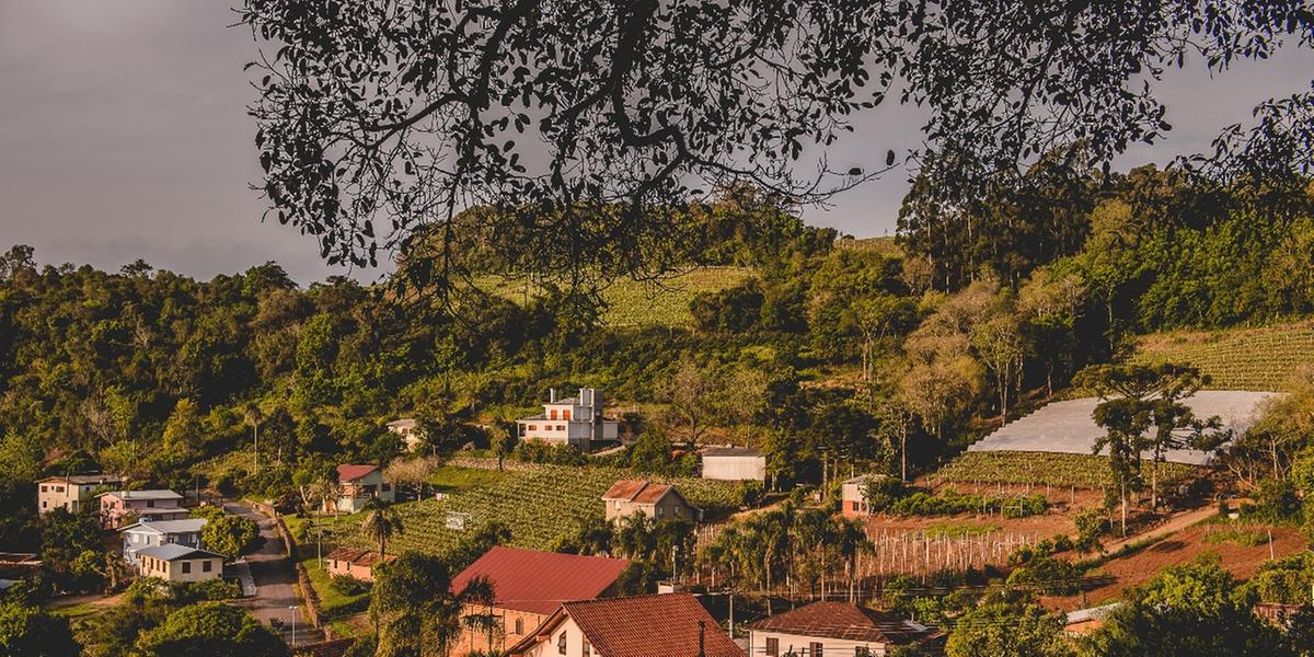 Ambientação da vinícola será transformada com elegância e aconchego, mantendo o estilo intimista que é a marca da família Cristofoli (Cristofoli)
