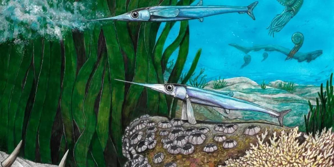 Ilustração do Antarctichthys longipectoralis (Revista Nature/Divulgação)