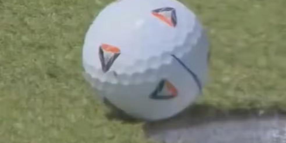 Mosca empurra bola para buraco durante partida de golfe nos Estados Unidos (Reprodução / Redes Sociais)
