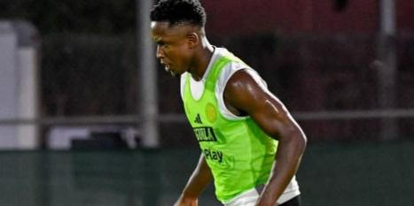 Colombiano se colocou à disposção do técnico Leonardo Jardim (Reprodução: Instagram)