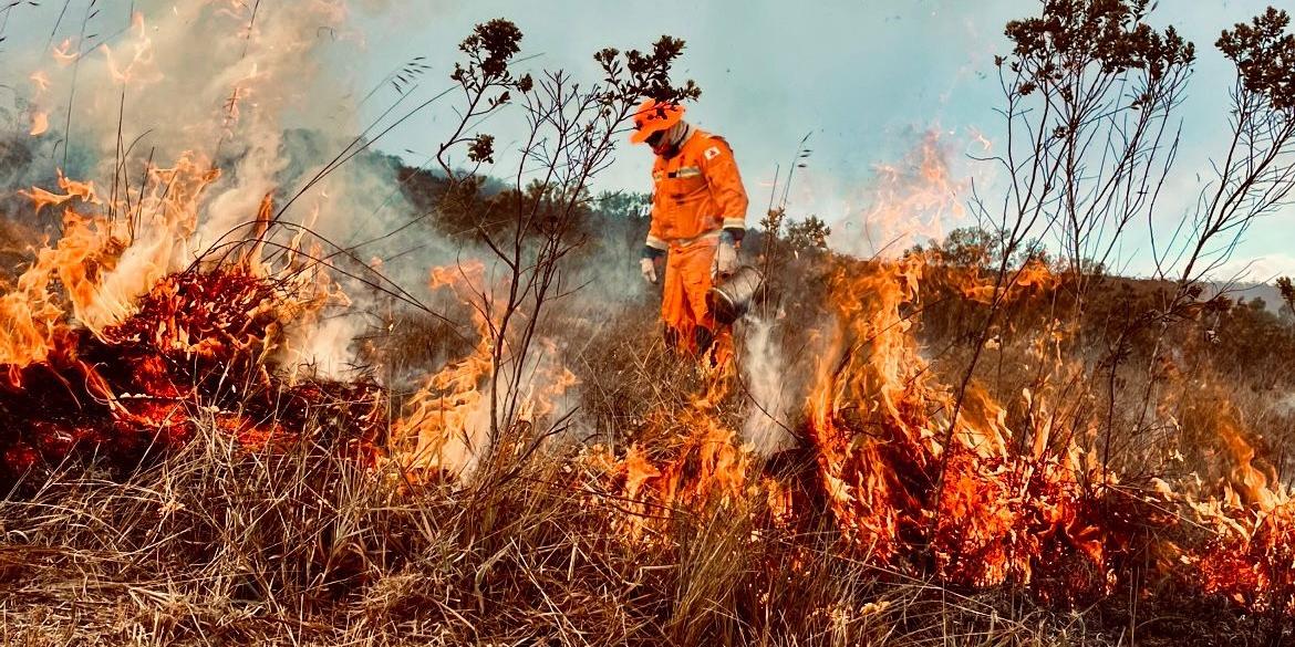 Há "risco elevado de incêndios florestais" nos próximos dias, informou a Defesa Civil Estadual (CBMMG / Divulgação)