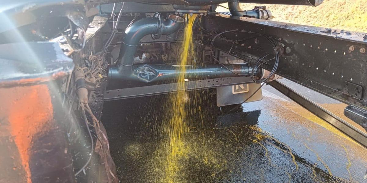 Vazamento de biodiesel ocorreu após rompimento da válvula do tanque do caminhão (Bombeiros/Divulgação)