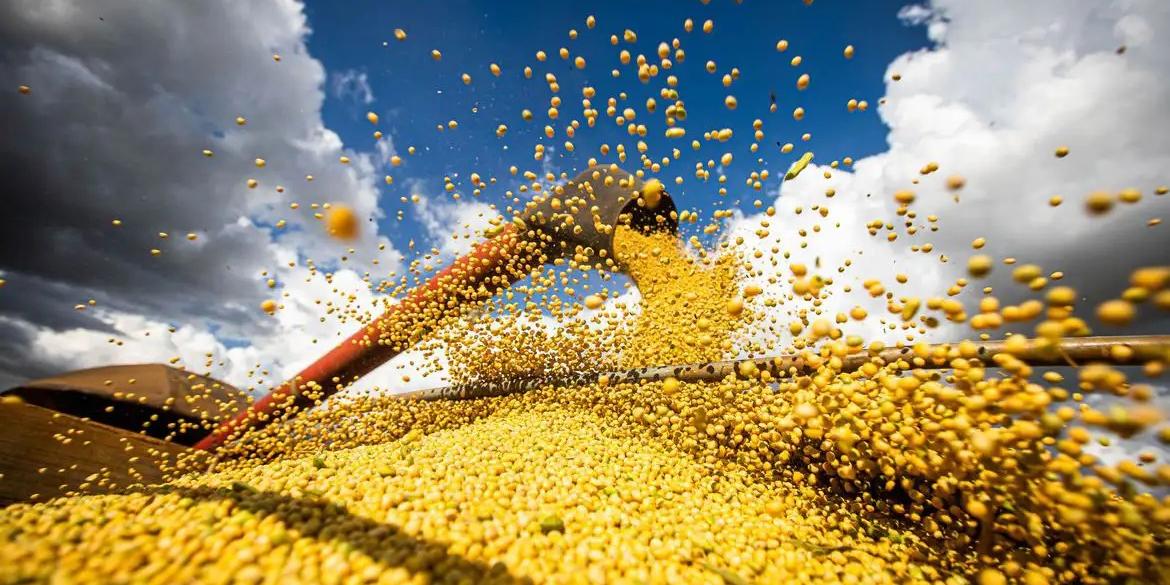 Resultado foi impulsionado, em especial, pela produção de soja, milho, arroz e algodão – responsáveis por 47 milhões das 49,1 milhões de toneladas colhidas a mais na safra atual, se comparada à anterior (Wenderson Araujo/Trilux)