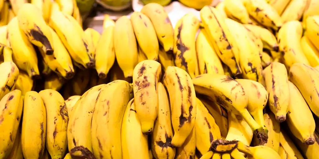 Amadurecimento acelerado ocorre porque, ao ser colhida, a fruta continua respirando e produzindo etileno, um hormônio natural (Valter Campanato/Agência Brasil)