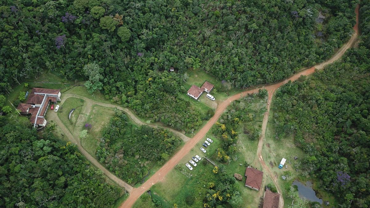 O Parque Estadual da Serra do Brigadeiro é reconhecido pela riqueza botânica e pela presença de espécies ainda não catalogadas pela ciência (Frederico Falcão Salles)