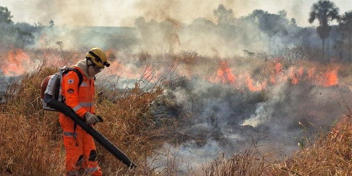 (Corpo de Bombeiros/Divulgação)