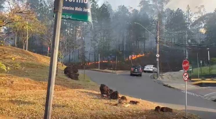Incêndio em mata no bairro São Bento (Reprodução/Redes Sociais)
