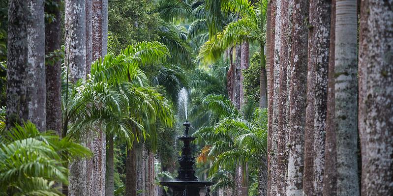 Estação reforça convite para se conectar com a flora brasileira (Bruna Prado/MTUR)