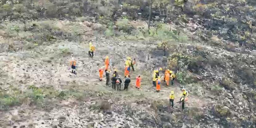 Militares e brigadistas agora fazem trabalho de monitoramento na Mata da Baleia, na Serra do Curral (Corpo de Bombeiros/Reprodução)