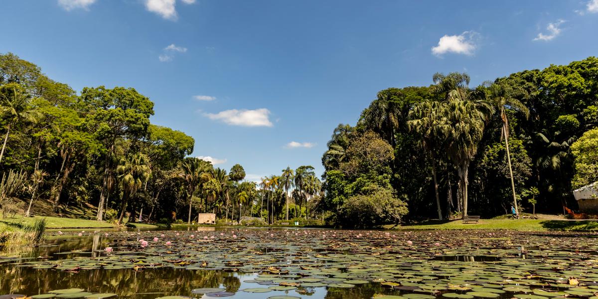 Jardim Botânico de São Paulo celebra a primavera com cores vibrantes, trilhas e diversidade de espécies nativas (Jardim Botânico de São Paulo)