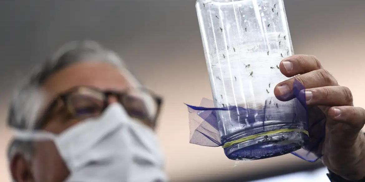 Fábrica de mosquitos oferece tecnologias para redução da dengue (Marcelo Camargo/Agência Brasil)