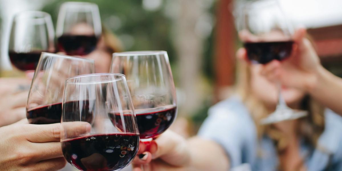 Vale dos Vinhedos, na Serra Gaúcha, celebra três décadas como referência em enoturismo e sustentabilidade no Brasil (Kelsey Knight/Unsplash)